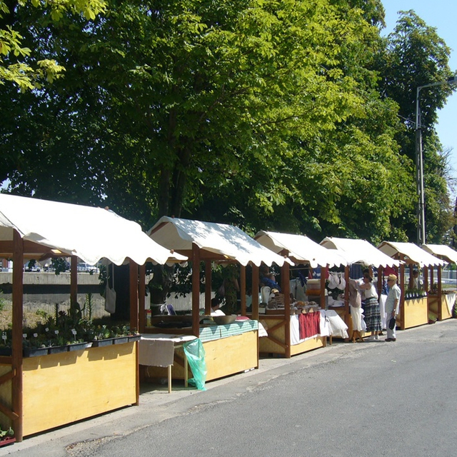 Kapuvr, Mvszeti Fesztivl, 2007