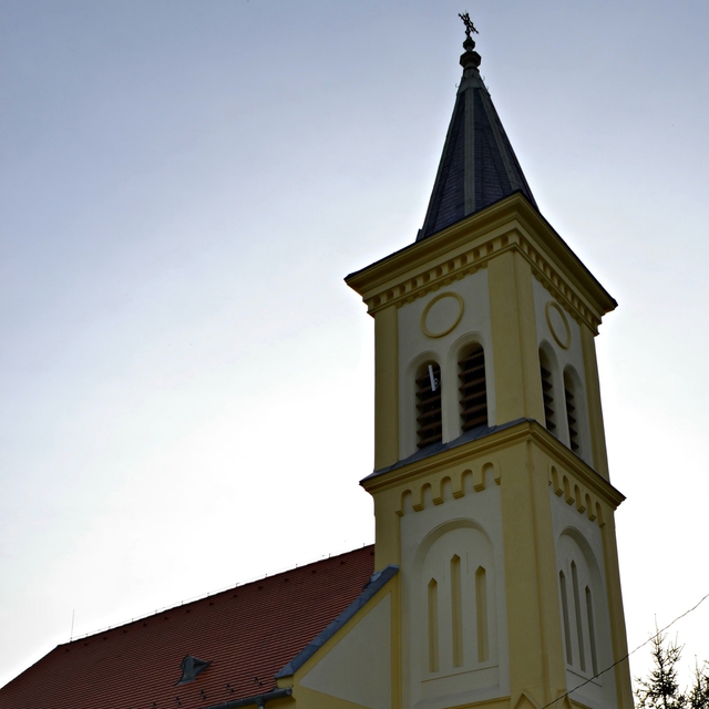 Trnokrti memlk temploma